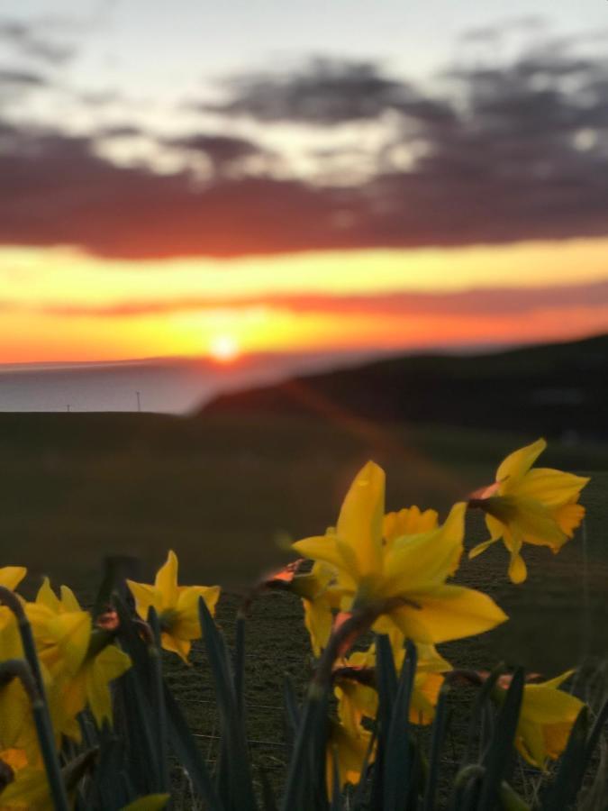 Bunnahabhain 5 - Farm Stay - Stunning Sea And Rural Views Stranraer Buitenkant foto