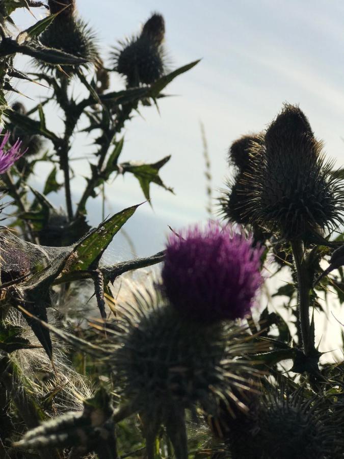 Bunnahabhain 5 - Farm Stay - Stunning Sea And Rural Views Stranraer Buitenkant foto
