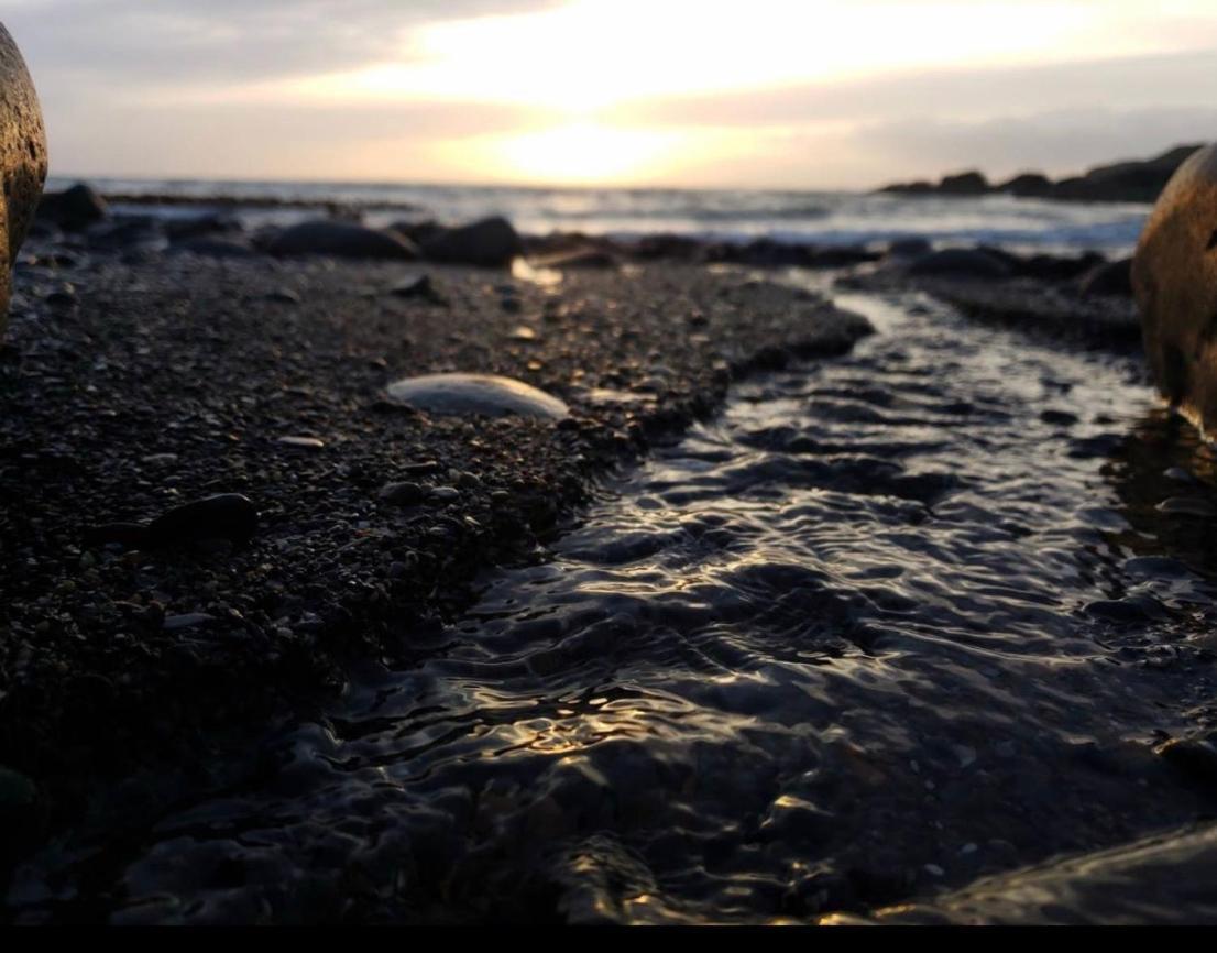 Bunnahabhain 5 - Farm Stay - Stunning Sea And Rural Views Stranraer Buitenkant foto