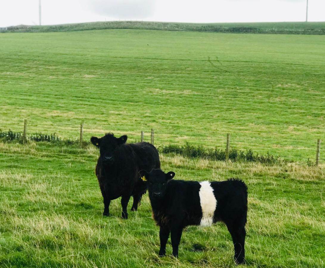 Bunnahabhain 5 - Farm Stay - Stunning Sea And Rural Views Stranraer Buitenkant foto
