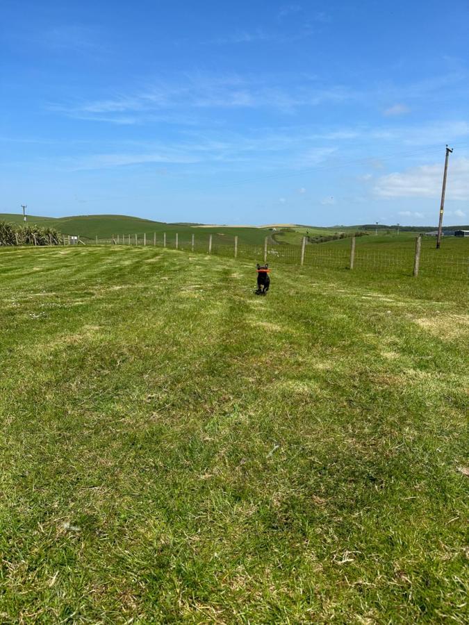 Bunnahabhain 5 - Farm Stay - Stunning Sea And Rural Views Stranraer Buitenkant foto